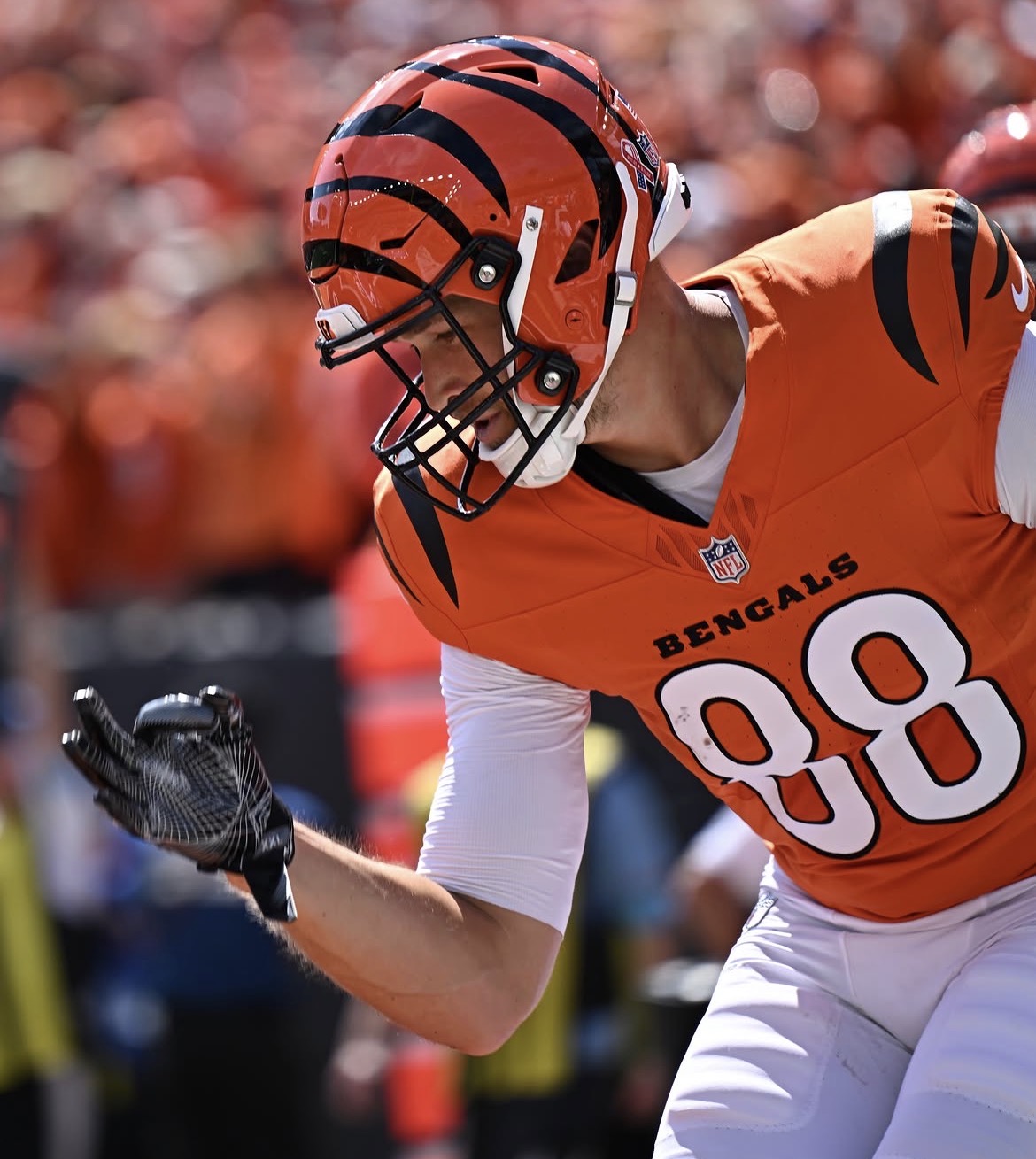 Bengals’ defensive domination leads victory over Buccs